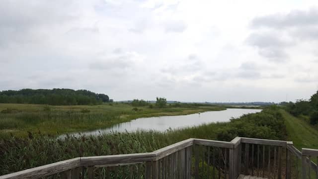 Pickerel Creek Wildlife Area - Image 1