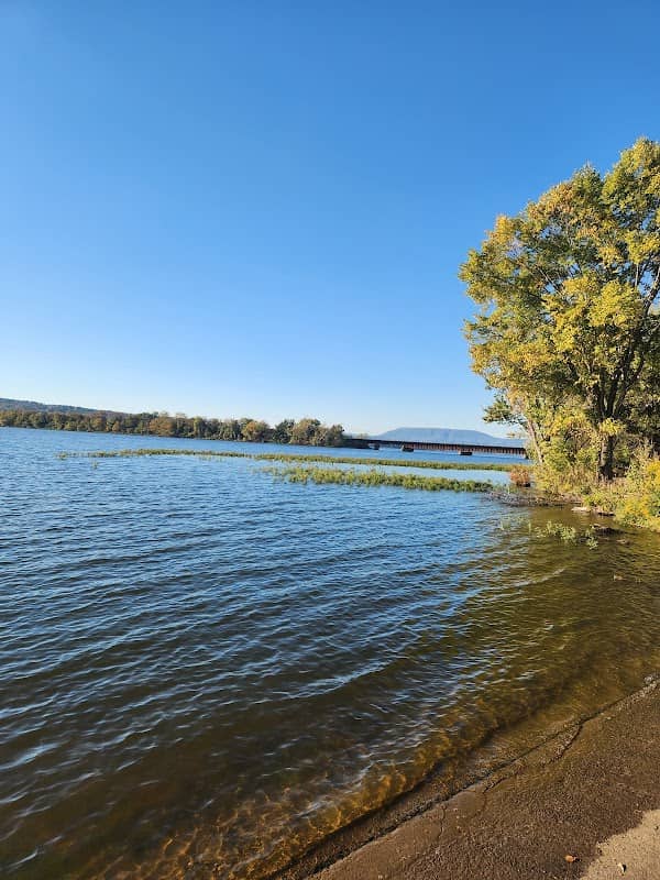 Lake Dardanelle public boat ramp - Image 1