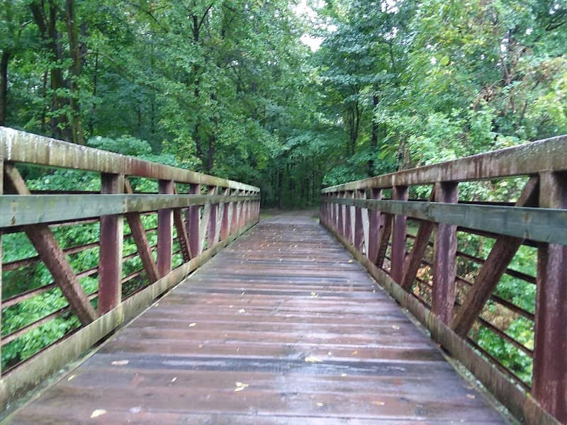 Cape Woods Conservation Area - Image 2