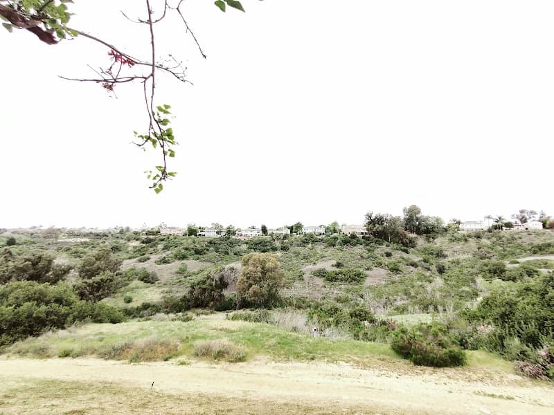 Hiking trail - Image 2