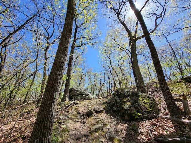 Riley Conservation Area - Image 1