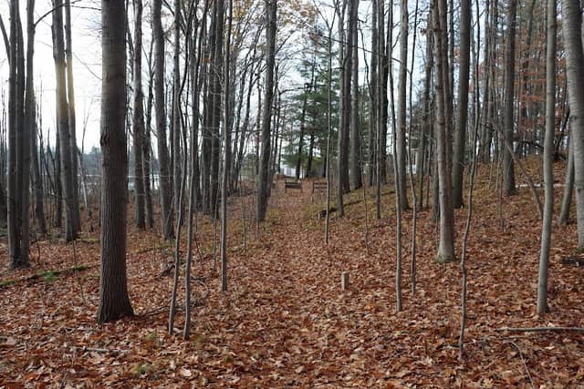 Schaftenaar Preserve (Hall's Lake Natural Area) - Image 1
