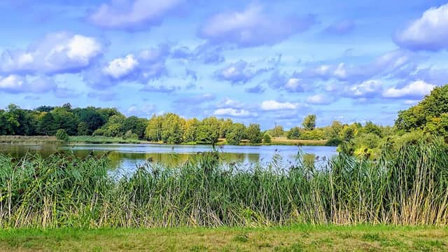 Schlosssee - Image 1