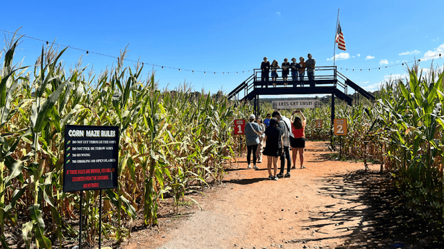 Shelby Corn Maze - Image 1
