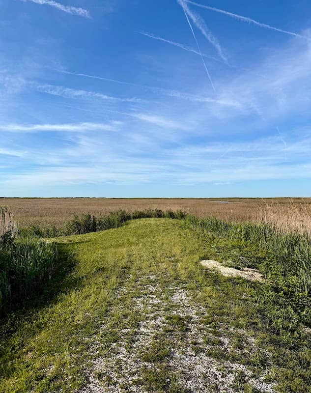 Strawberry Avenue Boardwalk - Image 1