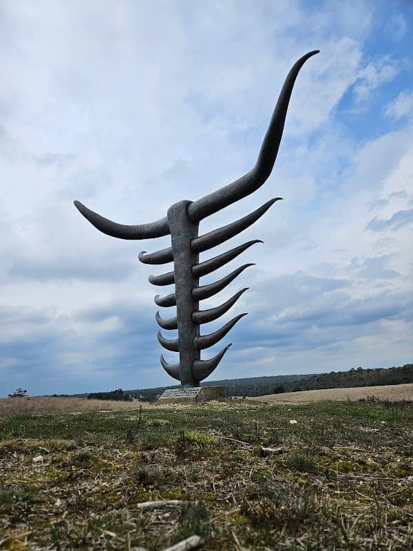Veertien Bunder (Nationaal Park Veluwezoom) - Image 1