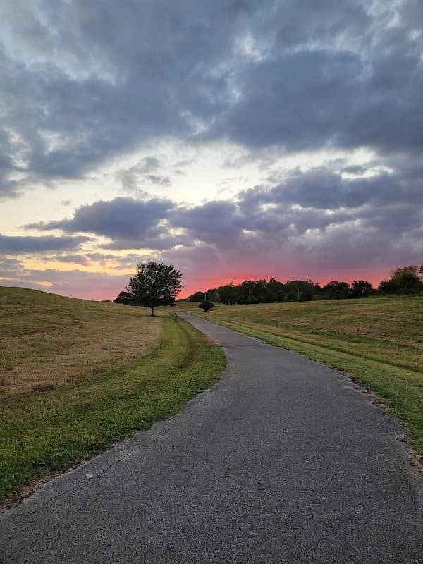 St. Ellen Park - Image 2