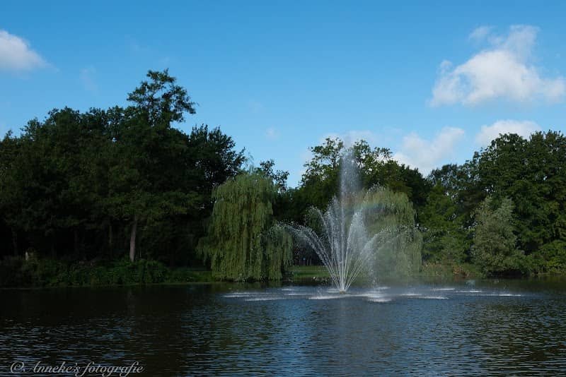 Elzeneindvijver - Image 1