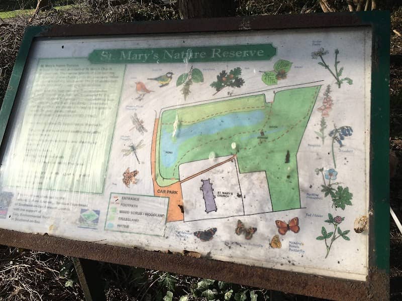 St Mary’s Nature Reserve - Image 2
