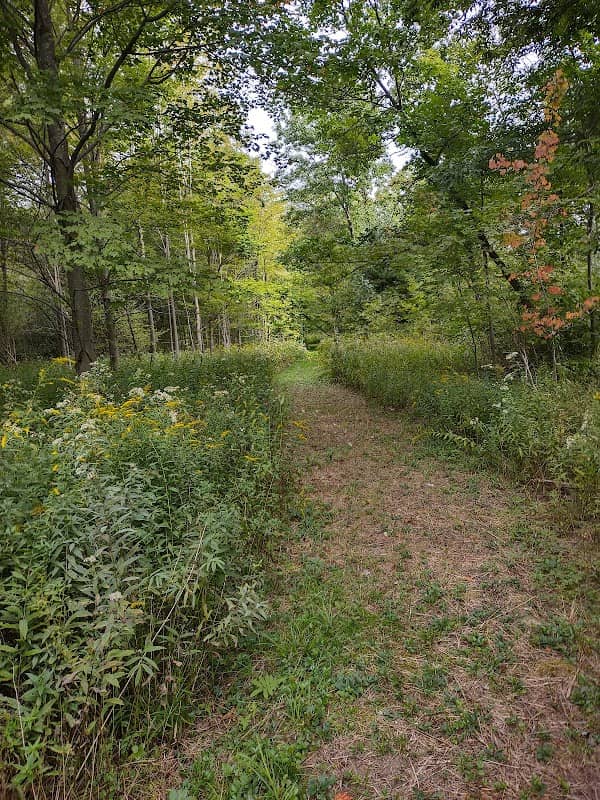 Kimberly Run Natural Area Trail Head - Image 1