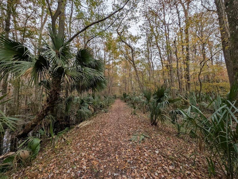 Marshall Swamp Wildlife Management Area - Image 1