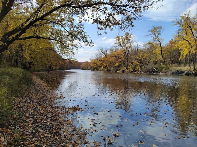 Rockford Rotary Forest Preserve - Image 2