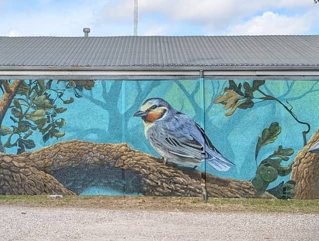 Bird Mural - Image 1