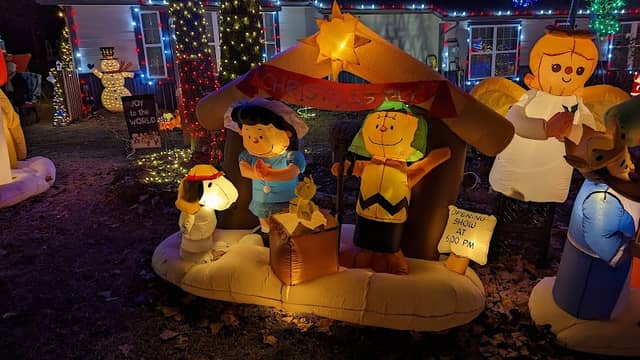 Poplin Brothers Christmas Lights and More - Image 2