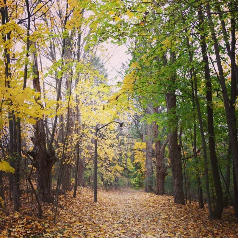 Hermitage Park - Image 1