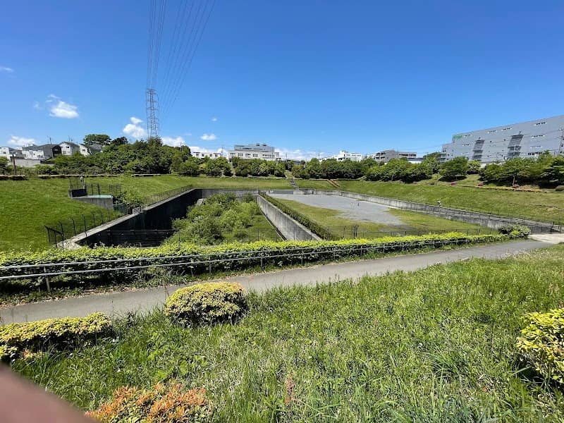 Koyama Kaminuma Park - Image 3