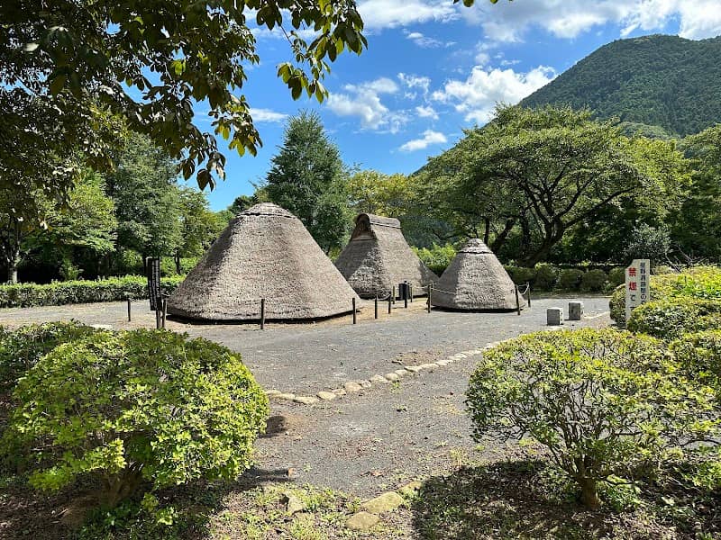 Hoshino Archaeological site - Image 1