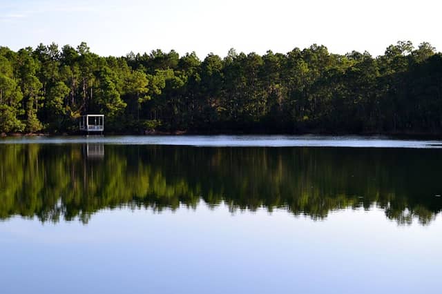 Pellicer Pond - Pellicer Creek Conservation Area - Image 1