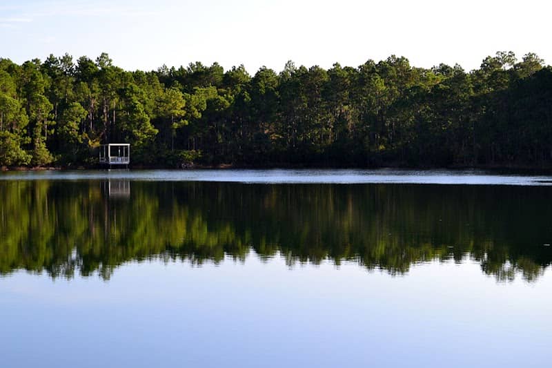 Pellicer Pond - Pellicer Creek Conservation Area - Image 1