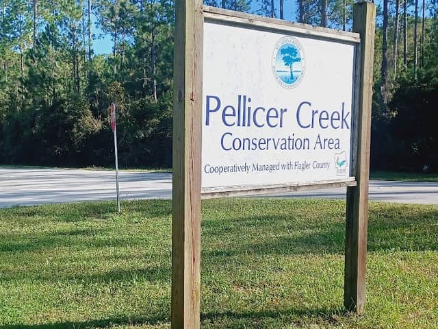 Pellicer Pond - Pellicer Creek Conservation Area - Image 2