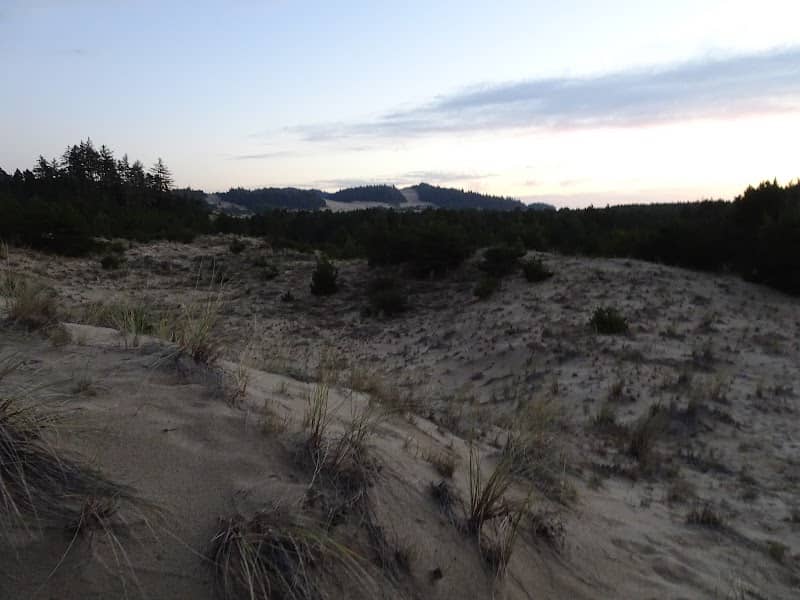 Threemile Lake and Tahkenitch Dunes Trailhead - Image 1
