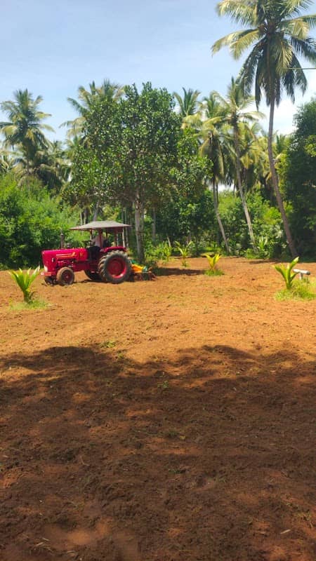 EyalYazh Farm (இயல்-யாழ் விவசாய பண்ணை தோட்டம்) - Image 1