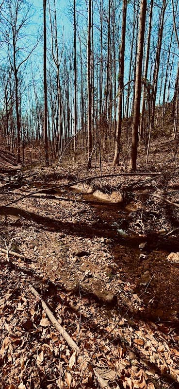 Embrey Trail - Image 1