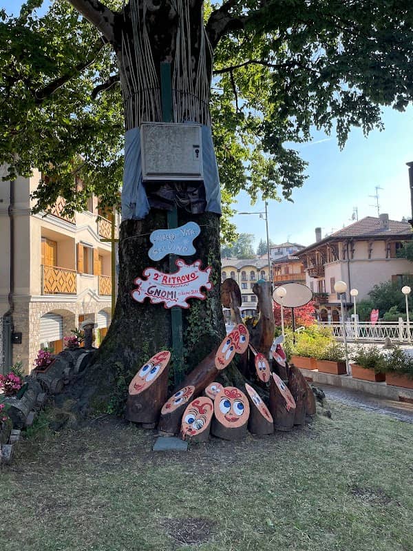 Il Faggio di Selvino - Image 1