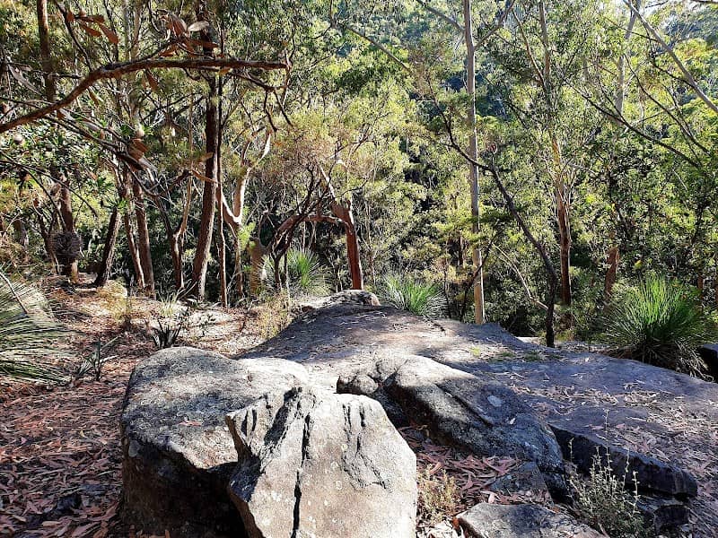 Dural Nature Reserve - Image 2