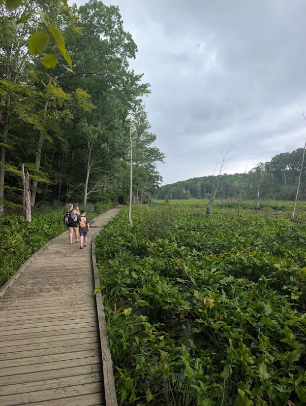 Calvert Cliffs State Park Playground - Image 2