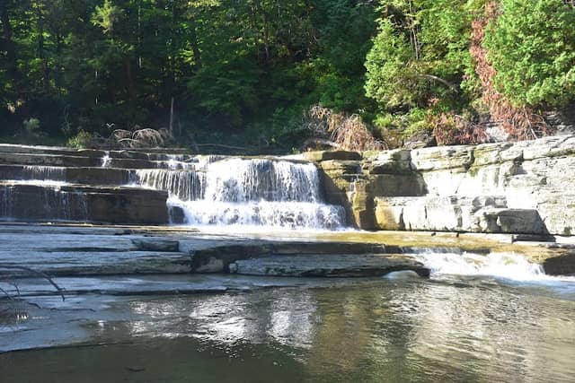 Wintergreen Park - Image 1