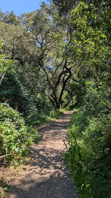 Shady Trail, Portola Valley, CA - Image 1
