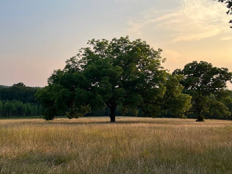 Laverlea -- PRIVATE PRESERVE - Image 1