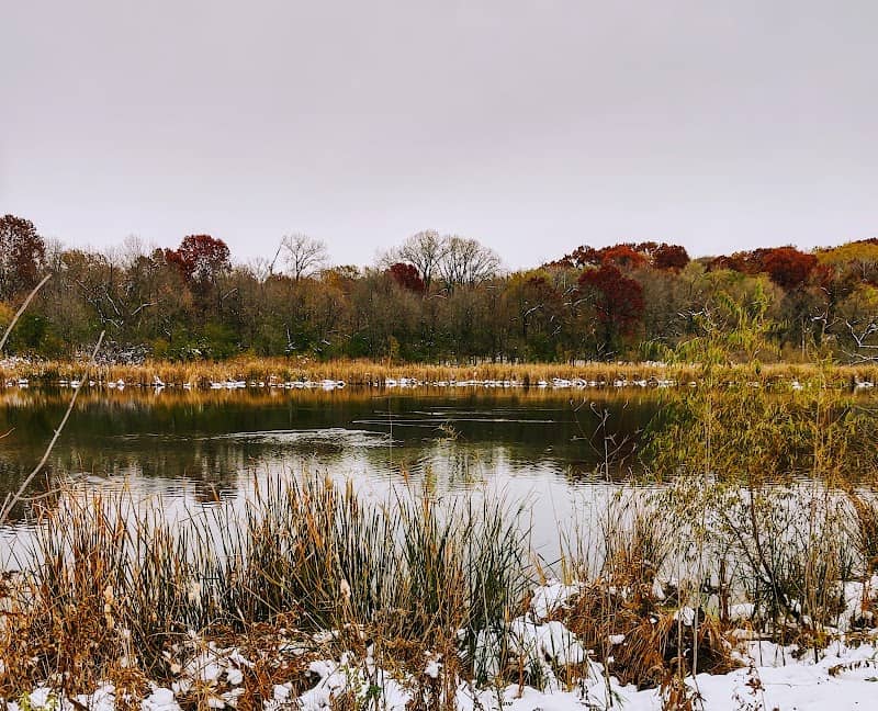 Dodge Nature Center – Lilly Property - Image 2