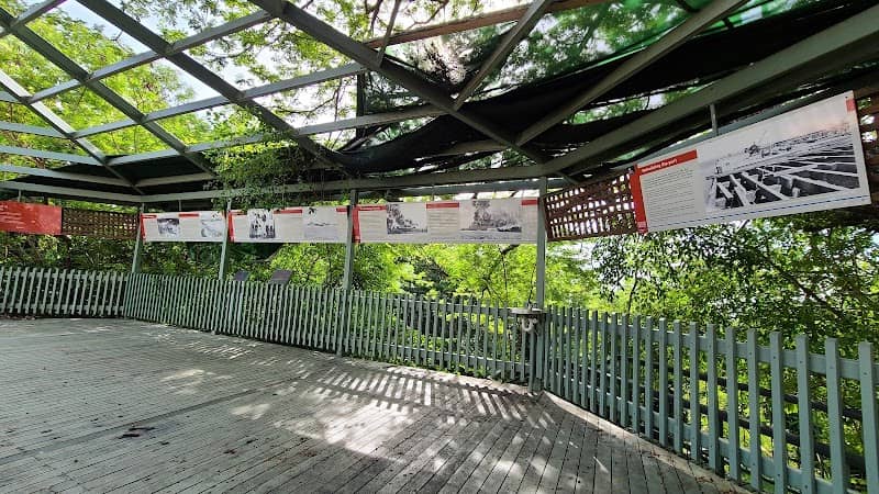 Survivors Lookout - Image 1