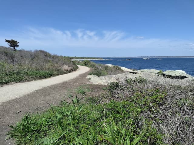 Sachuest Point National Wildlife Refuge - Image 2