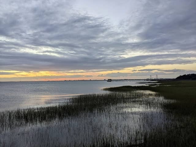 Ocean Walk at Pitt Street Bridge Park - Image 3