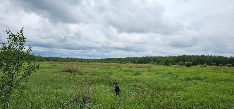 Golden Ranches Conservation Area - Image 1