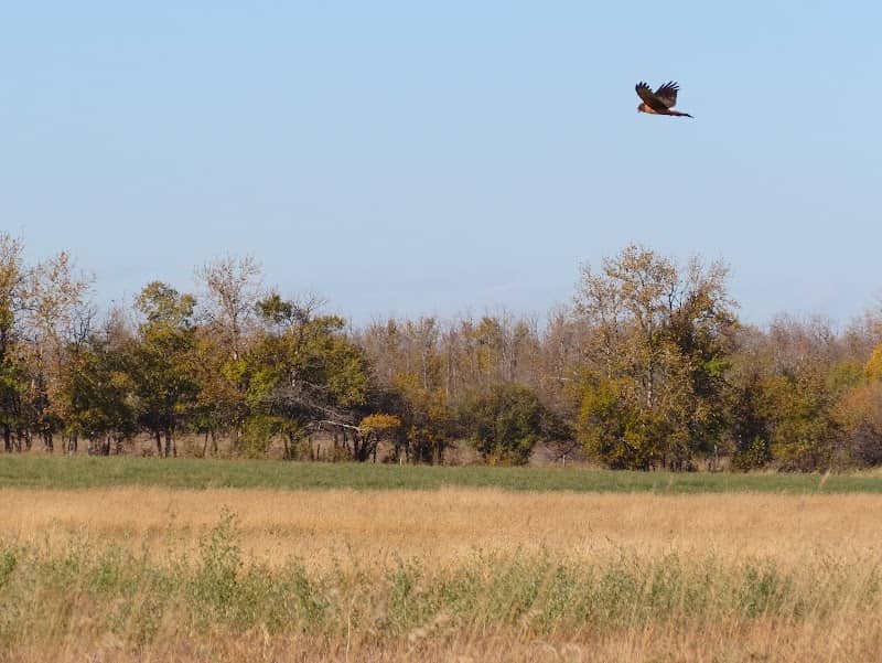 Golden Ranches Conservation Area - Image 2