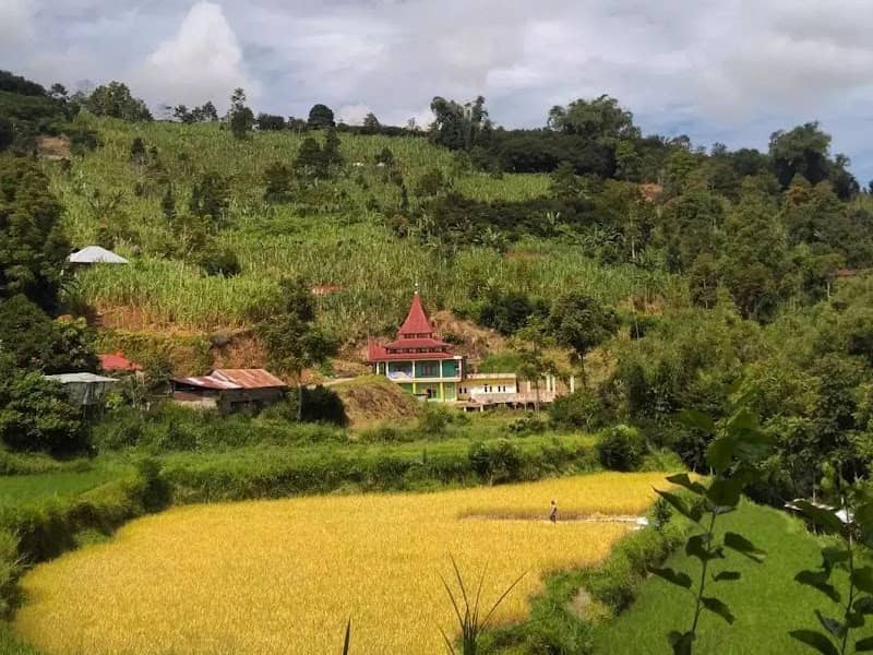 Panorama Anak Aua - Image 1