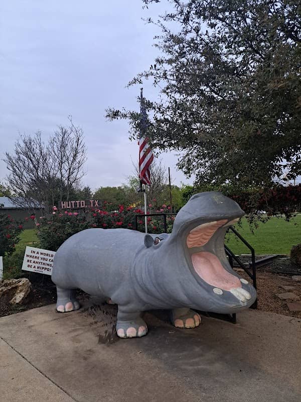 Henrietta the Hippo - Image 1