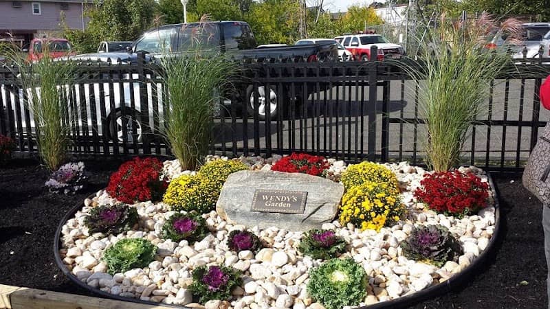 Wendy's Garden - Image 1