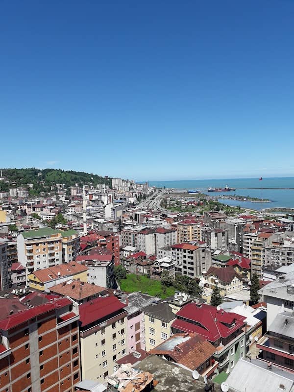Rize Municipality of Armory Park - Image 1