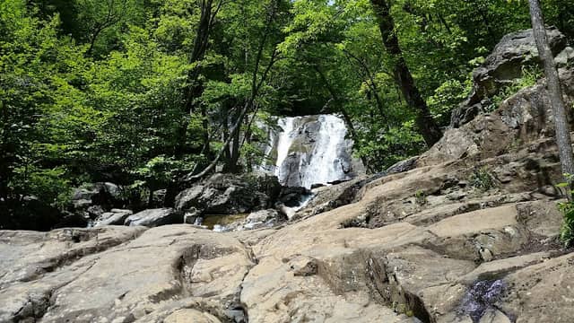 Cedar Run Trail Trailhead - Image 1