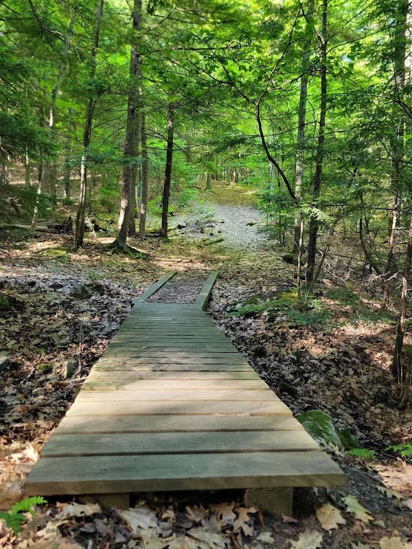 Fort Dummer State Park - Image 1