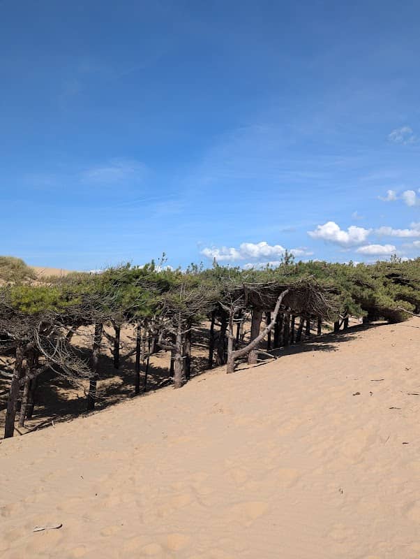 Dunes viewing point - Image 2
