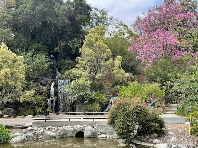 The Arboretum - Image 5