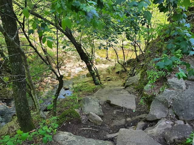 Cedar Falls - Image 3