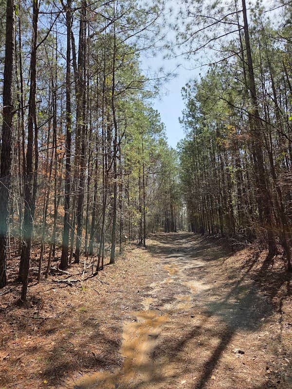 Swayback Bridge Trail - Image 1