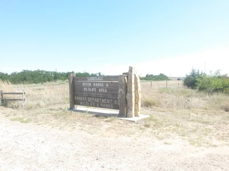 Friends of Sandsage Bison - Image 2